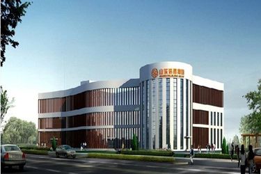 Shandong Jiejing Group Corporation
