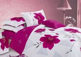 중국 프린트 반응용 나트륨 알기나트 협력 업체