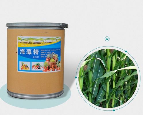 ASCOPHYLLUM NODOSUM 추출물 비료 협력 업체