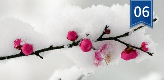 해초 추출물 비료 분말 협력 업체