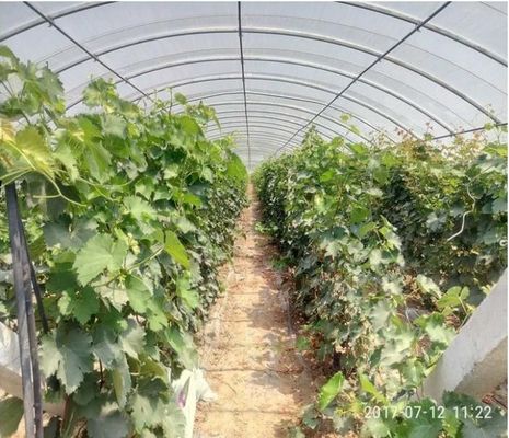 해조류 추출물 토양 완화제 협력 업체